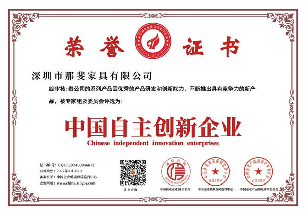 中 國自主創(chuàng)新企業(yè)